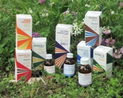 RAEMIL BETULLA MIAL COMP 50ML