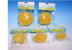 NATURA PURA SPUG NAT 16 BUST