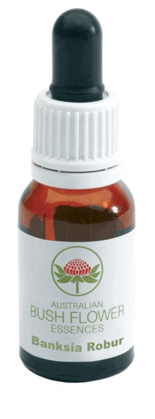 BANKSIA ROBUR AUSTRALIAN GTT15