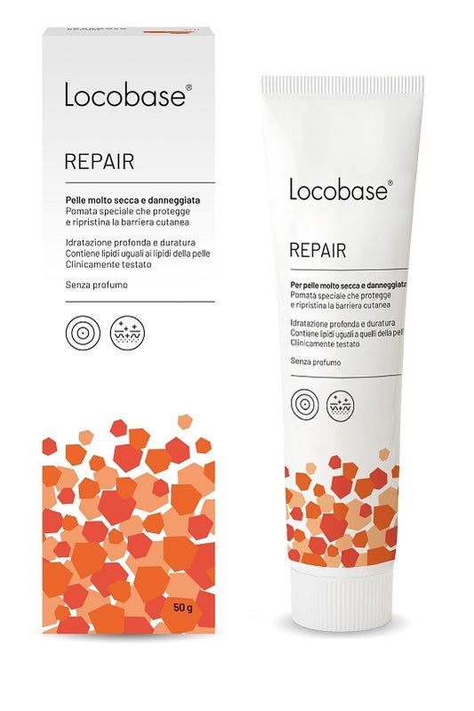 LOCOBASE-REPAIR 100G