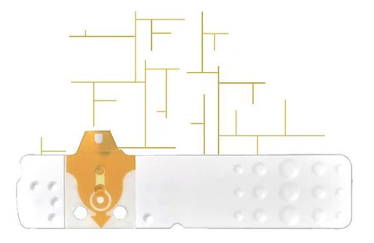 LINEA D ORO 25STR GLICEMIA