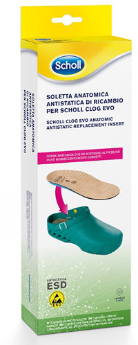 CLOG EVO ANAT ANT INS MIC39-40