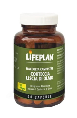 CORTECCIA OLMO 50CP LIFEPLAN