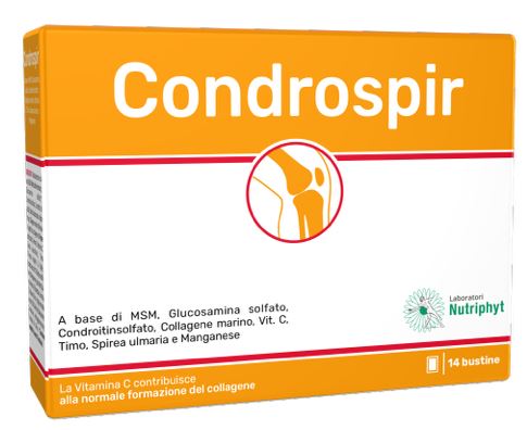 CONDROSPIR 14 Bust.