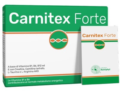 CARNITEX Forte*14 Bust.