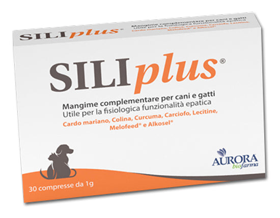 SILIPLUS 30 Cpr 1g