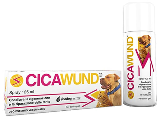 CICAWUND Spray 125ml