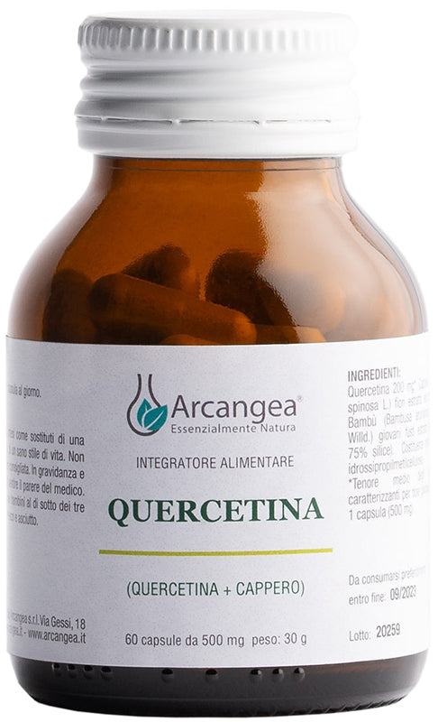 QUERCETINA 60CPS 500MG ARCA