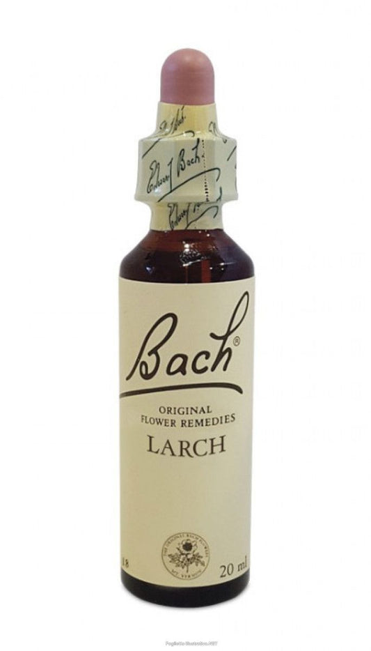 BACH CENTER ESS LARCH 20ML