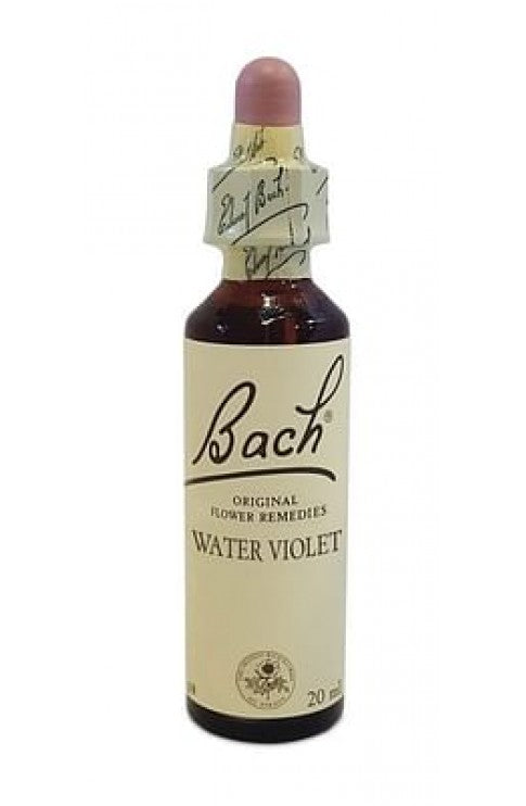 BACH CENTER WATER VIOLET 20NATUR