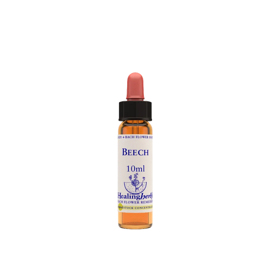 BEECH ESS 10ML INGL HERBS