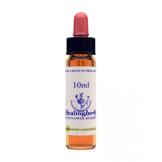 Gentian Essence 10ml