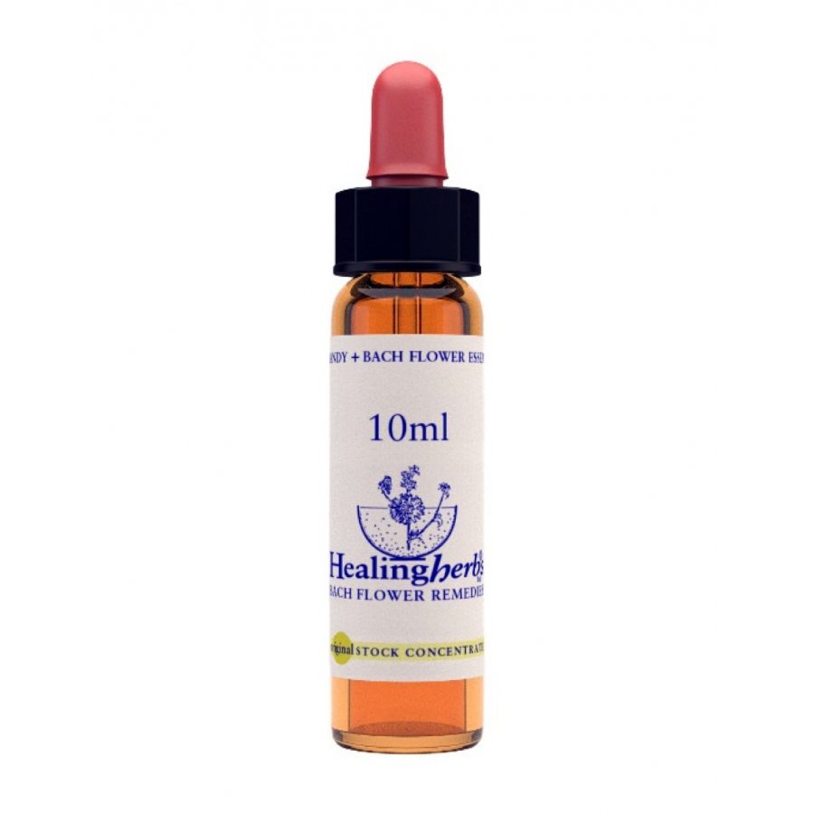 Rock Water Essence 10ml