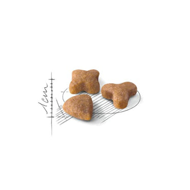 Royal Canin Feline Regular Sensible 33 Crocchette Per Gatti Sacco 400g