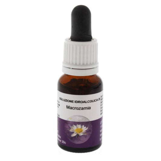 Macrozamia Essence 15ml