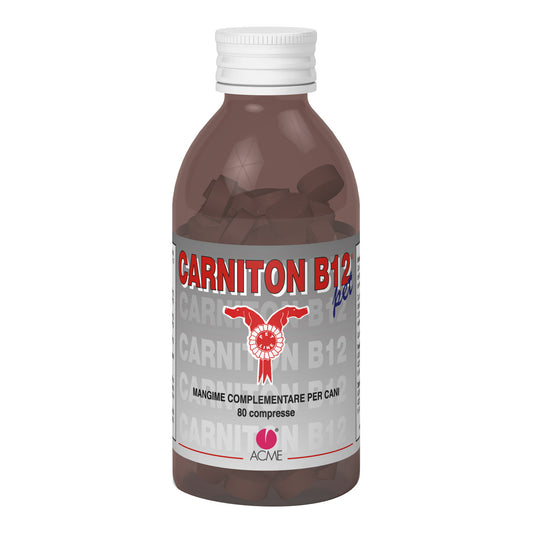 CARNITON-B12 PET 80CPR 80G