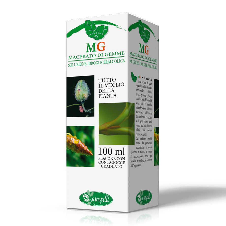 BIANCOSPINO 100ML M.G.