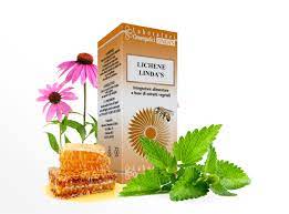 LICHENE Islandico 30ml Linda's