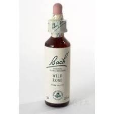 WILD ROSE BACH GOCCE 30ML