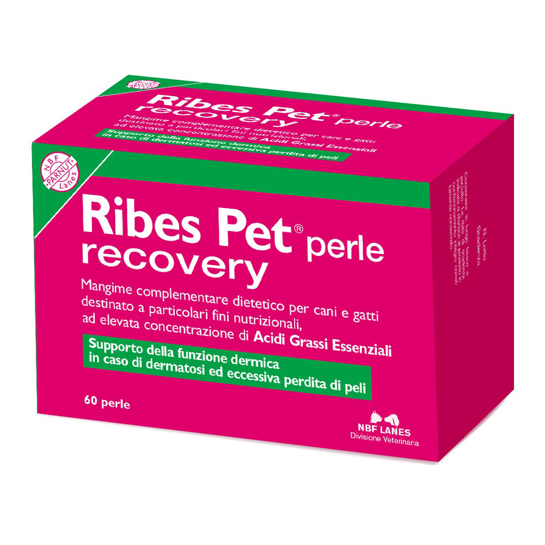 RIBES PET RECOVERY 60PRL