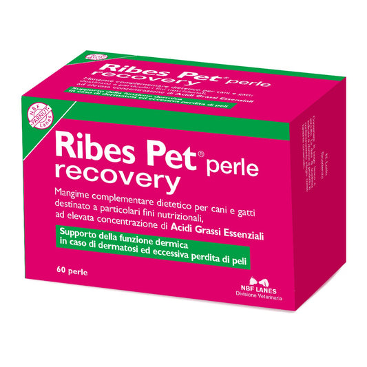 RIBES PET RECOVERY 60PRL