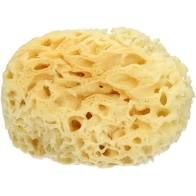 SPUGNA MARE NATURALE TAGLIA L BIEMMEFARMA