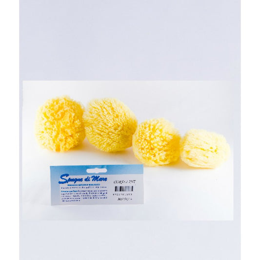 BIEMMEFARMA Spugna Mare Naturale XL