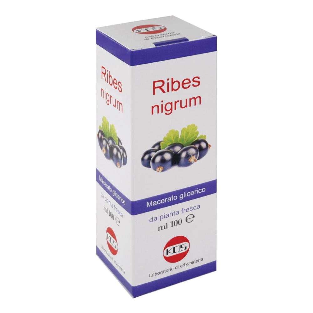 RIBES NIGRUM MACERATO GLICERICO 100ML GOCCE KOS