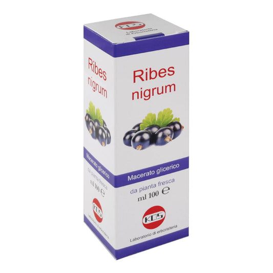 RIBES NIGRUM MACERATO GLICERICO 100ML GOCCE KOS
