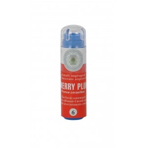 ARMONIC 06 CHERRY PLUM 70GR TE