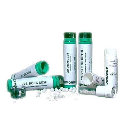 ARMONIC 20 MIMULUS 70GR TESLA