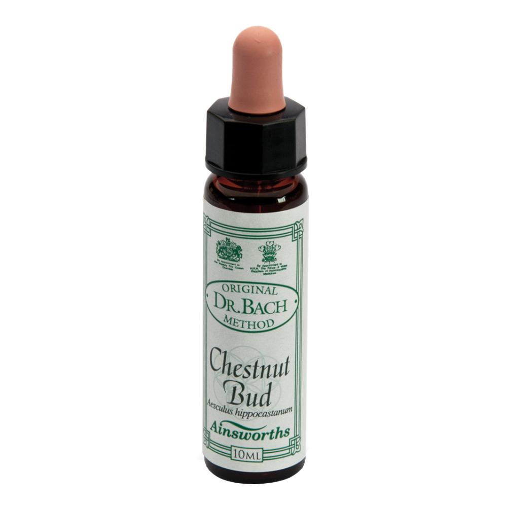 AINSWORTHS CHESTNUT BUD 10ML
