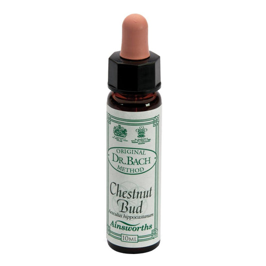 AINSWORTHS CHESTNUT BUD 10ML