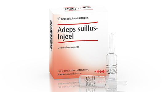 ADEPS SUILLUS INJEEL HEEL