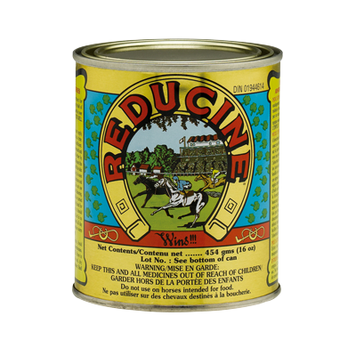 Reducine Absorbent Vescicante Per Lesioni Tendini/Articolazioni Equini 450g