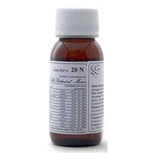 20N CARPINUS BETULUS COMP LVS