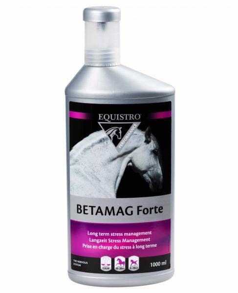 Betamag Forte Equistro Complesso In Forma Liquida Di Magnesio E Zinco Per Prestazioni Equini 1 Litro