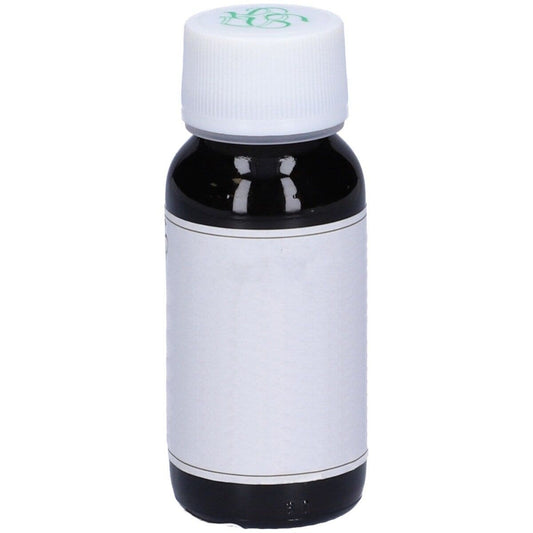 LVS 74S Eryngium Campestre Com