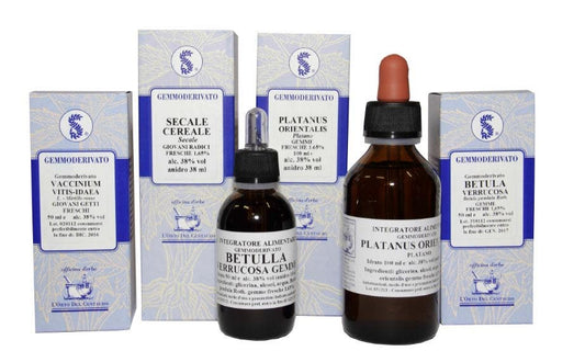 CEDRUS LIBANI MG 100ml