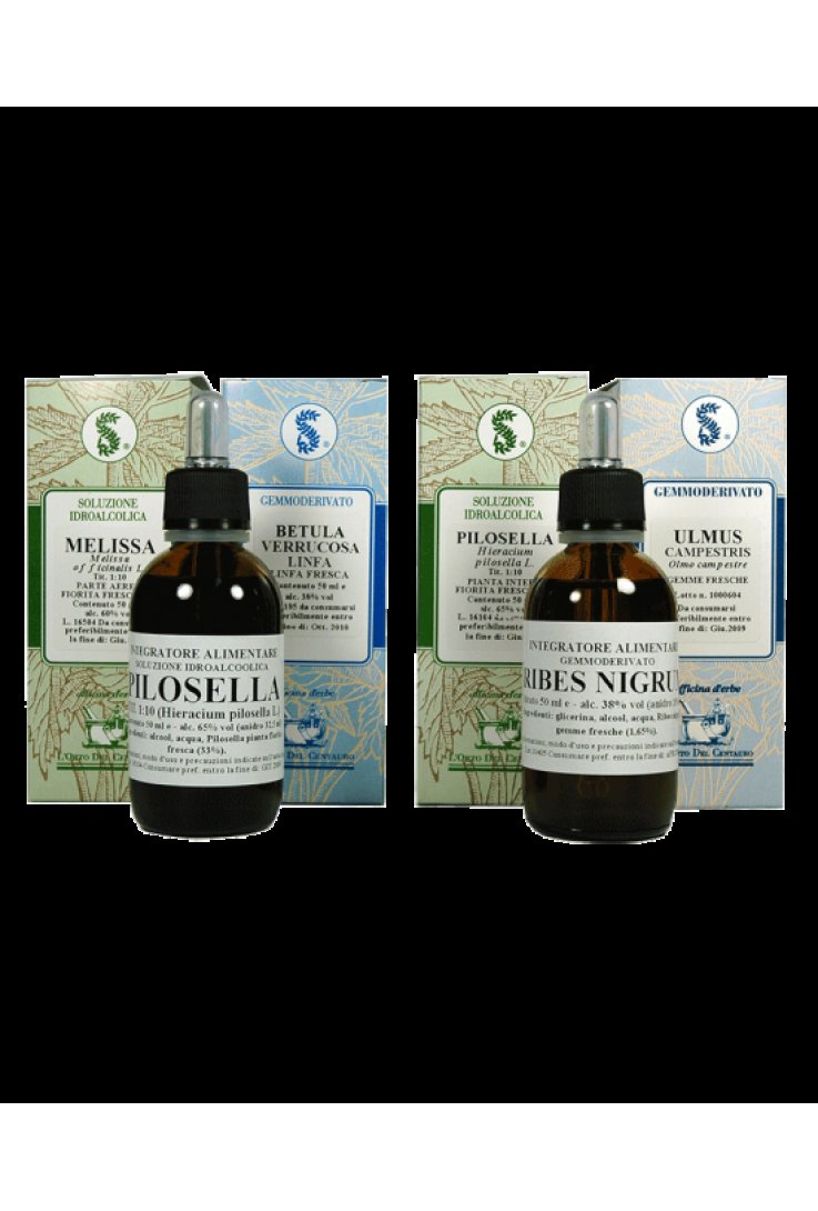 ALNUS GLUT.Gtt 60ml