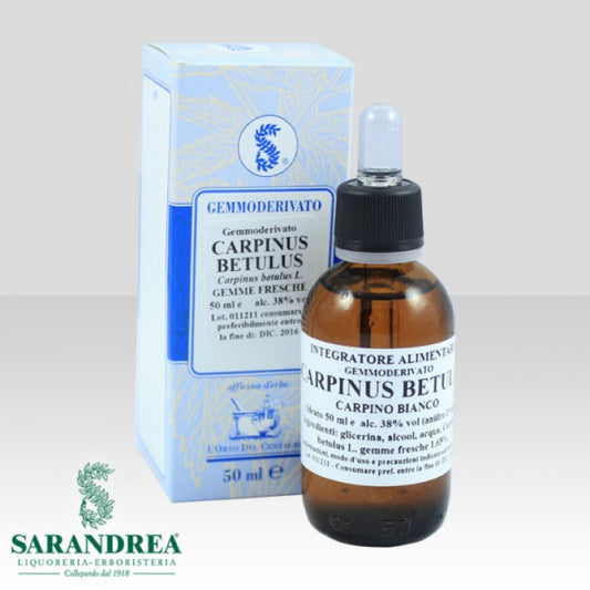 CARPINUS BETULUS 60ML MG