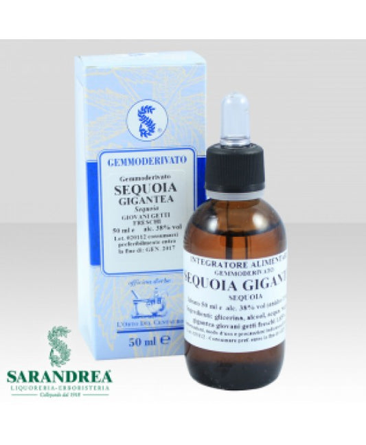 SEQUOIA GIGANTEA 60ML MG SARANDR