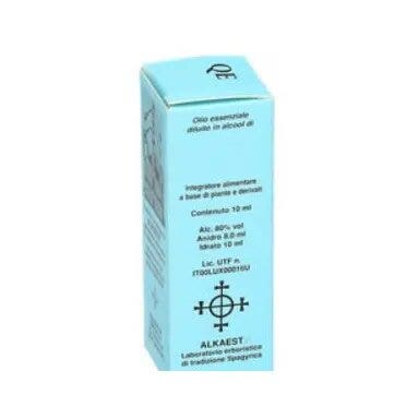 QE53 PINO COMP10ML