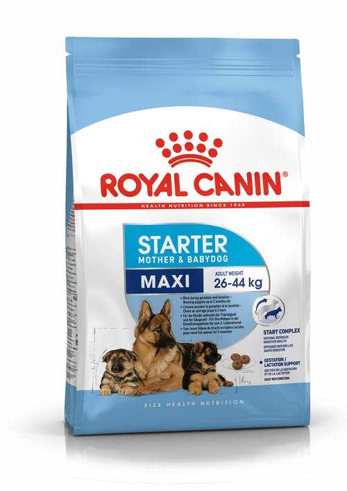 Royal Canin Starter Mother&Babydog Crocchette Per Cagne E Cuccioli Taglia Grande Sacco 4kg