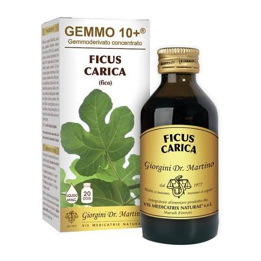 FICUS Carica Gemmo 10+ 100ml