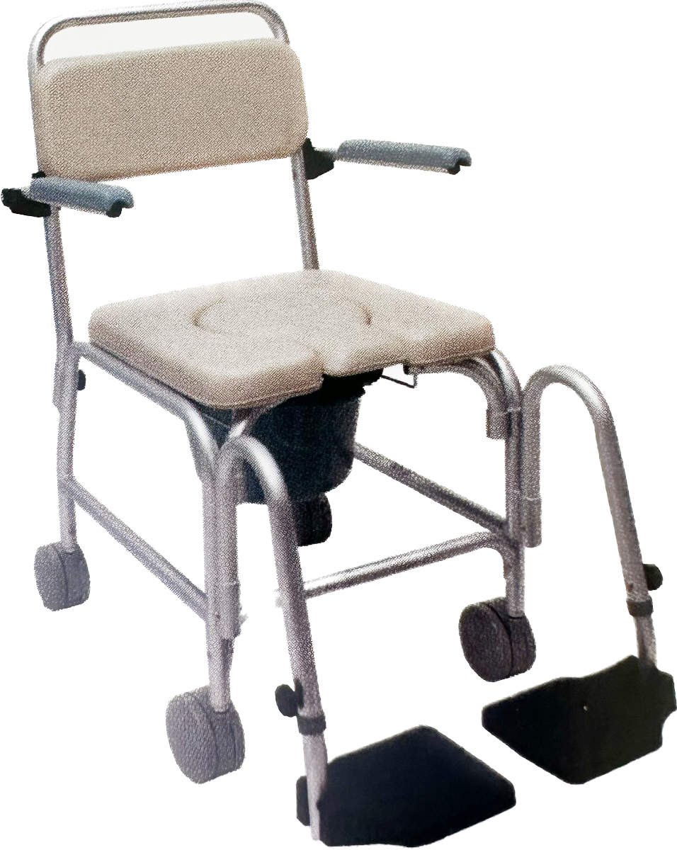 Sedia Comoda Da Doccia E Wc SE2