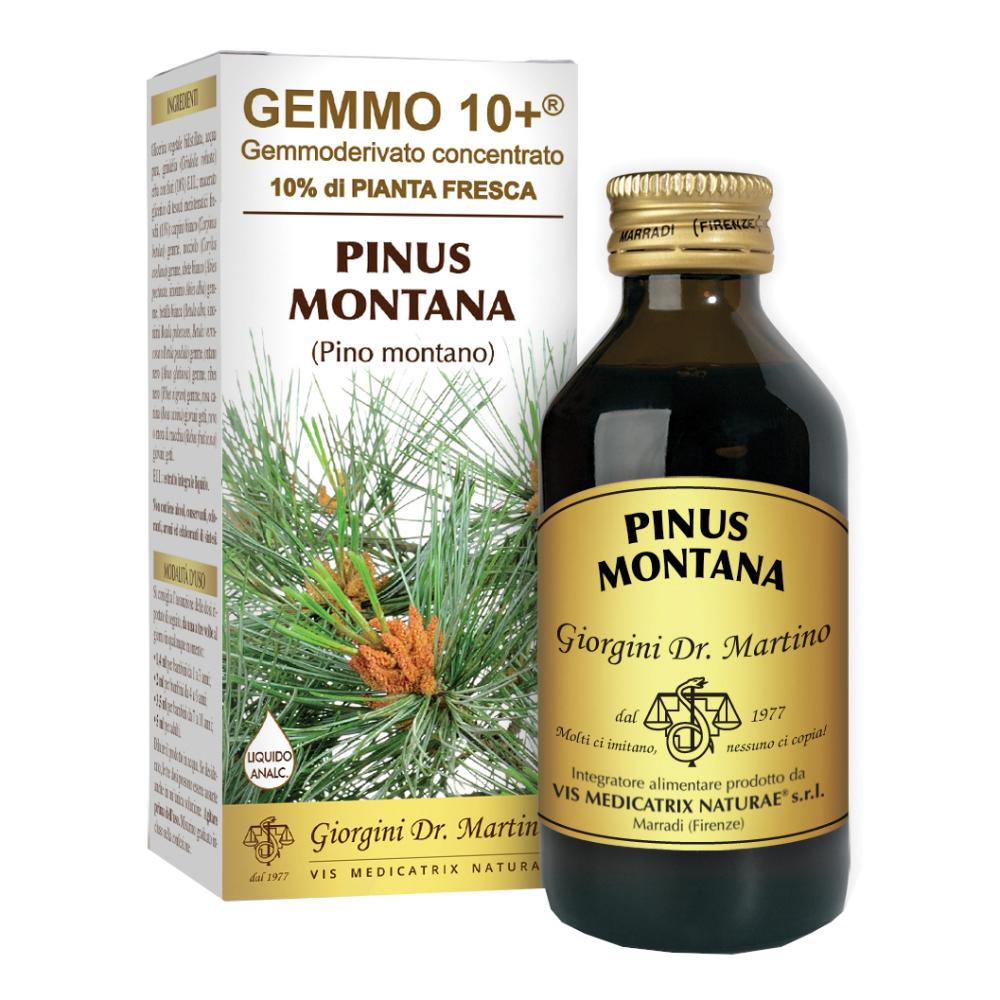Pinus Montana Gemmoderivato Concentrato 100ml