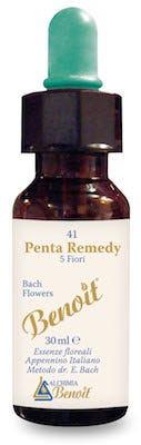 Benoit Bach Flowers Penta Remedy 30ml