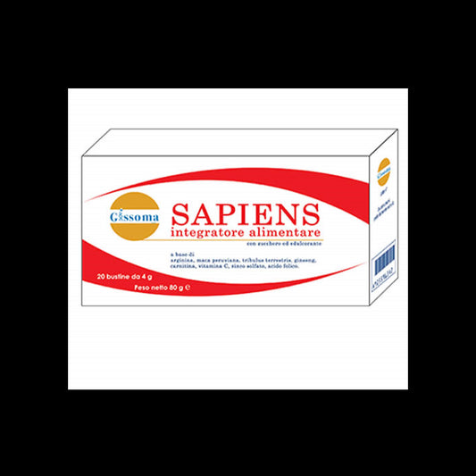SAPIENS 20BUST