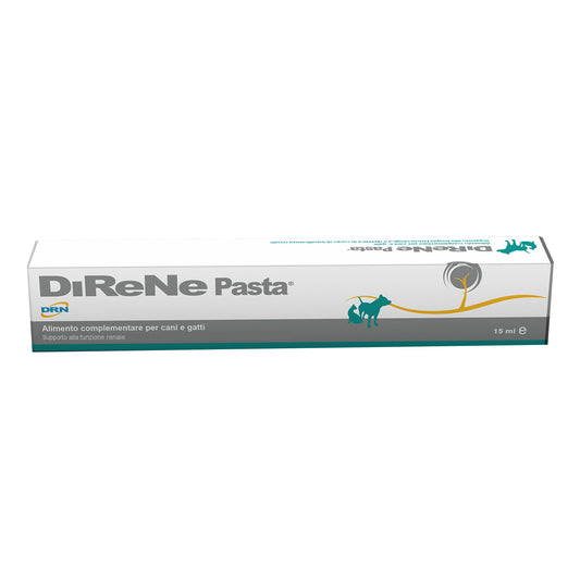 DIRENE PASTA 15ML